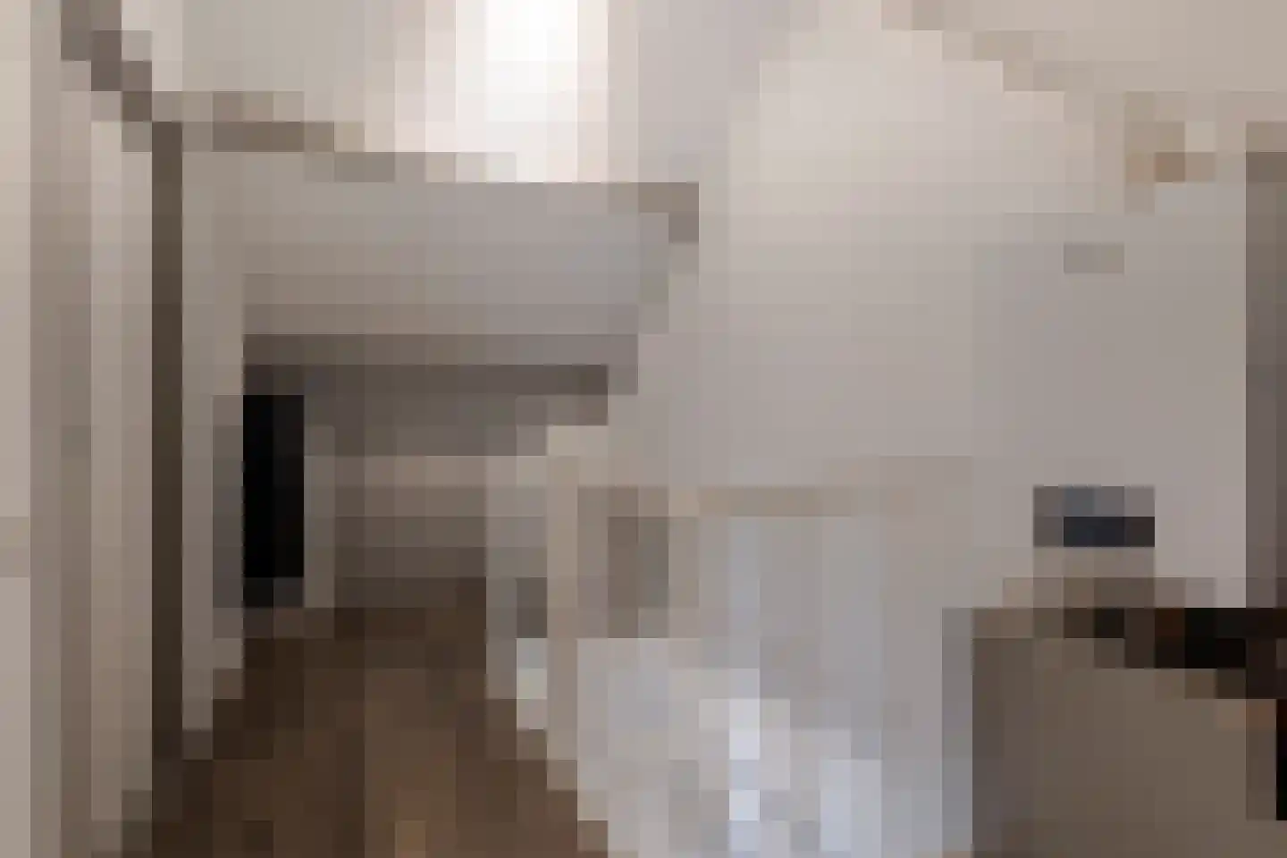 Lindenstraat 24 Meerkerk thumbnail 21