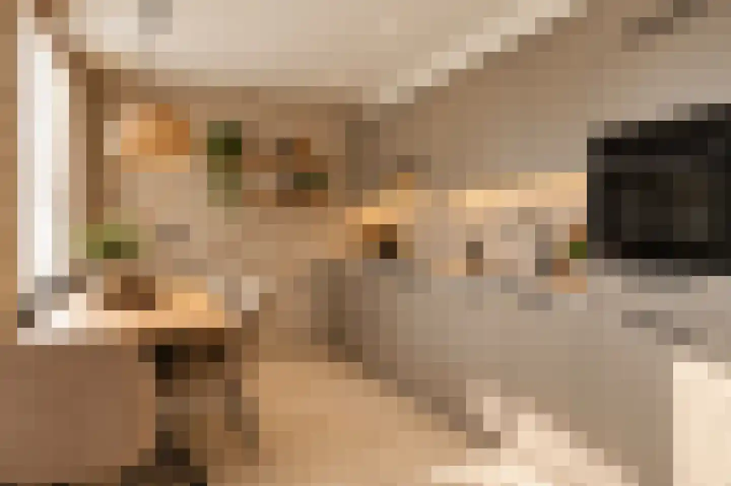 Lindenstraat 28 Nederweert thumbnail 15