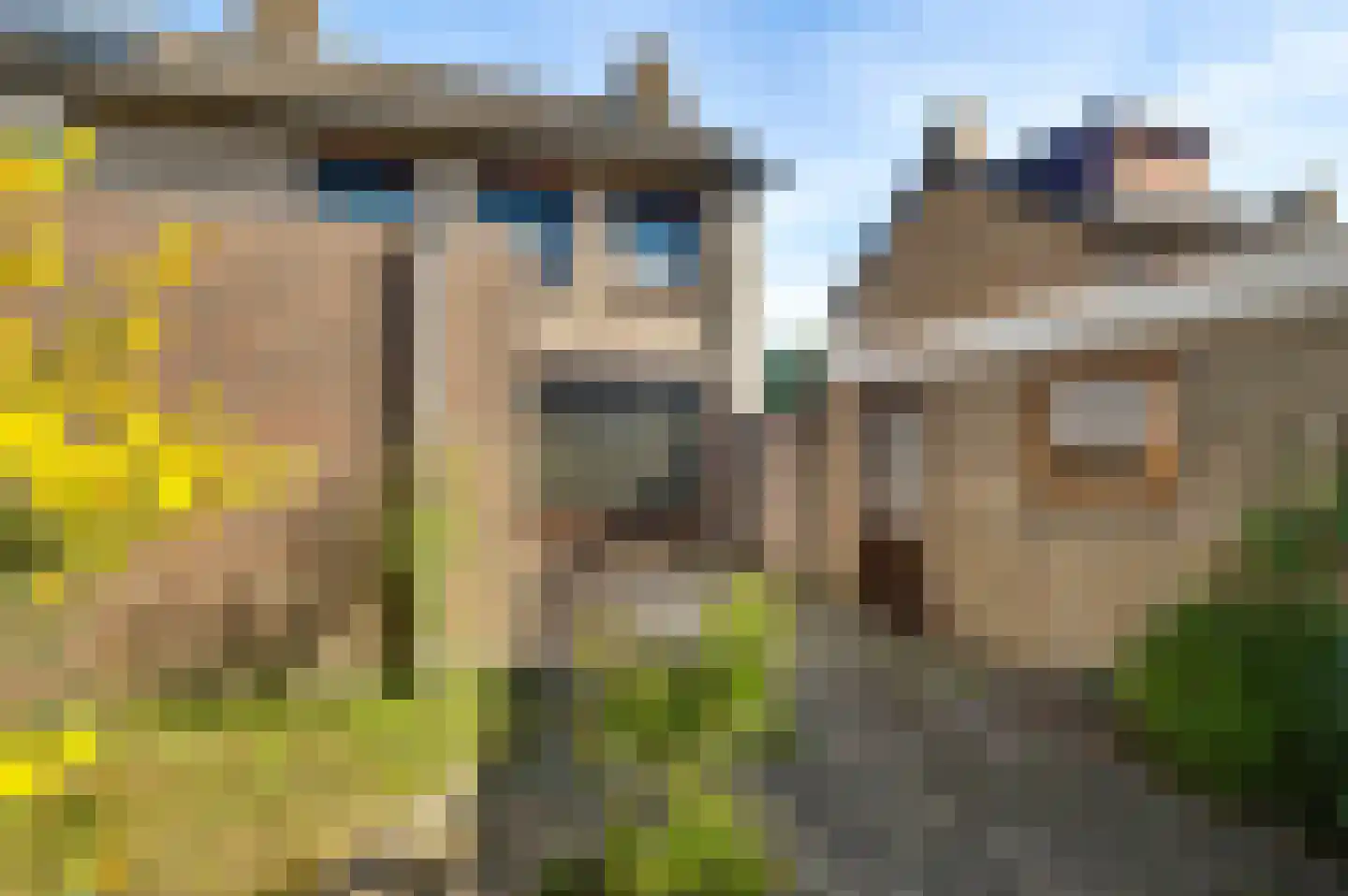 Lindenstraat 28 Nederweert thumbnail 27
