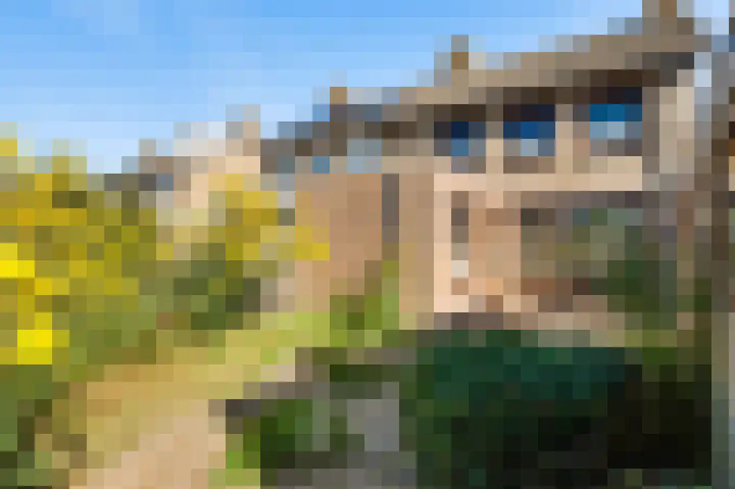 Lindenstraat 28 Nederweert thumbnail 4