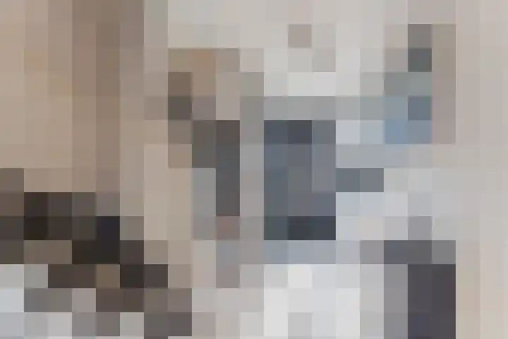 Lindenstraat 31 Bunschoten-Spakenburg thumbnail 21