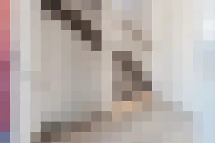 Lindenstraat 31 Bunschoten-Spakenburg thumbnail 35