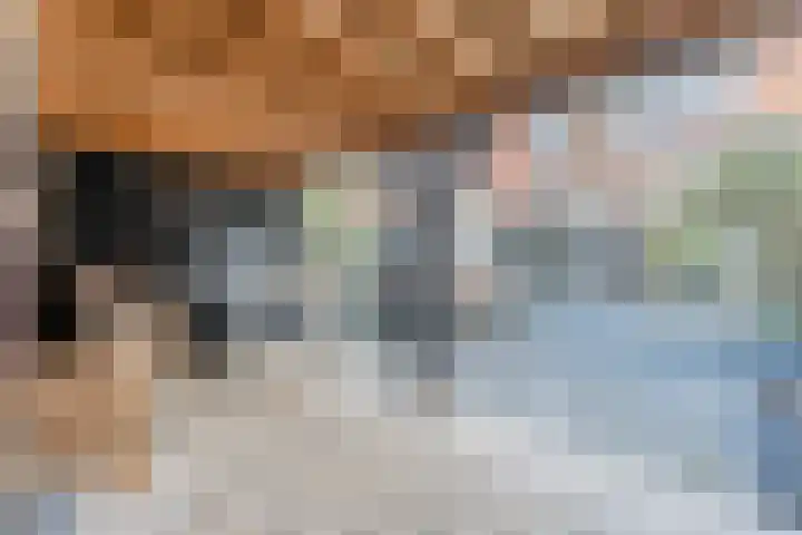 Lindenstraat 31 Bunschoten-Spakenburg thumbnail 44