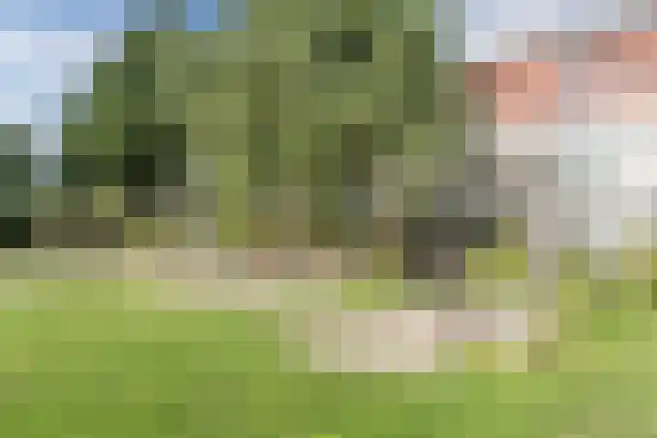 Lindenstraat 31 Bunschoten-Spakenburg thumbnail 49