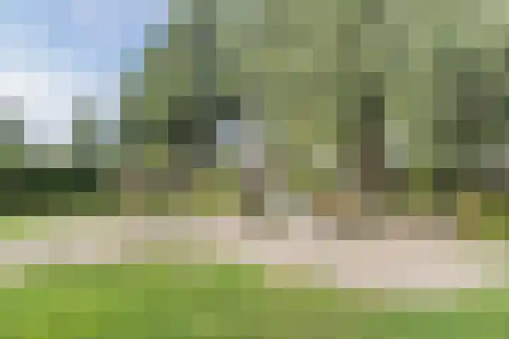 Lindenstraat 31 Bunschoten-Spakenburg thumbnail 50