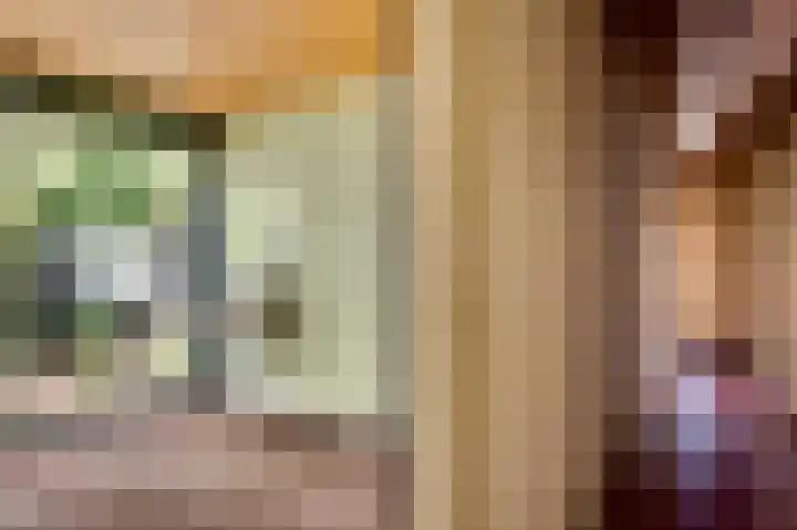 Lindenstraat 31 Nederweert thumbnail 15