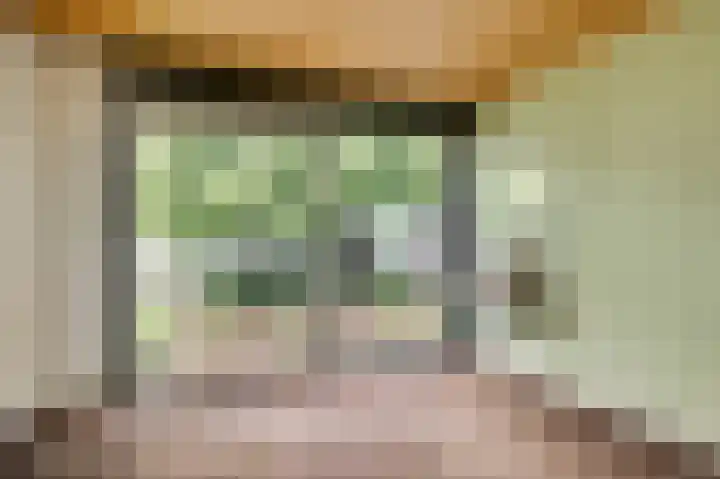 Lindenstraat 31 Nederweert thumbnail 16