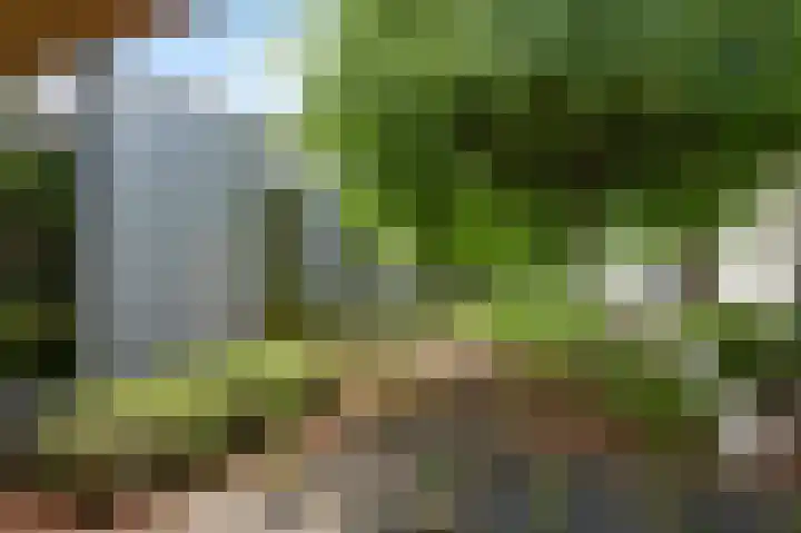 Lindenstraat 31 Nederweert thumbnail 27