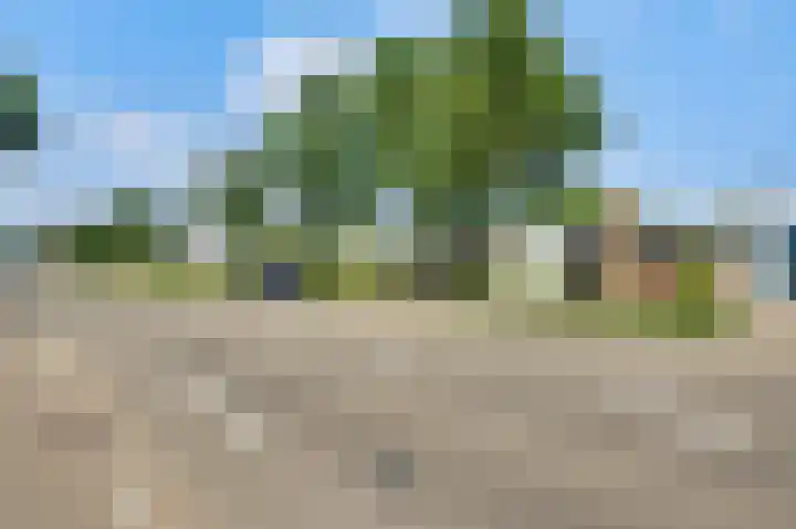 Lindenstraat 31 Nederweert thumbnail 5
