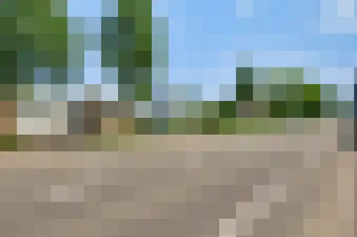 Lindenstraat 31 Nederweert thumbnail 6