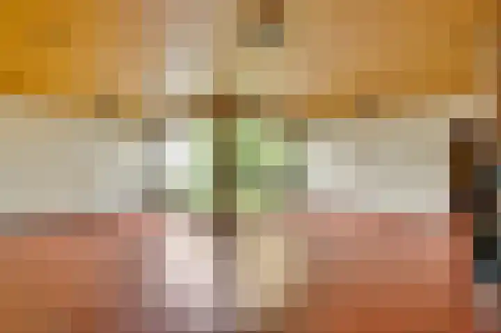 Lindenstraat 31 Nederweert thumbnail 9