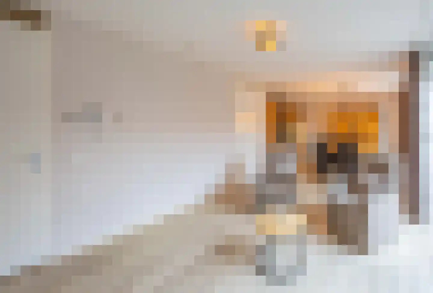 Lindenstraat 31 Venray thumbnail 18