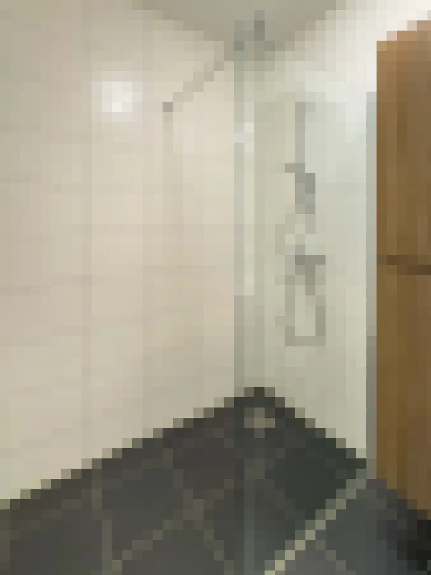 Lindenstraat 31 Venray thumbnail 28