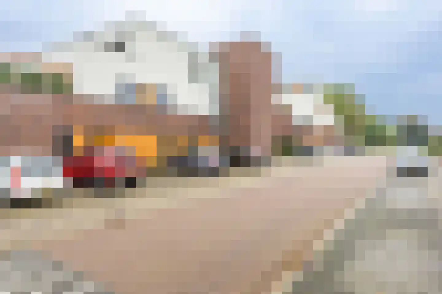 Lindenstraat 31 Venray thumbnail 38