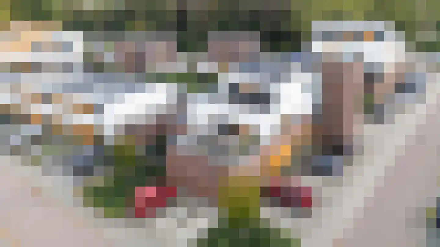 Lindenstraat 31 Venray thumbnail 39