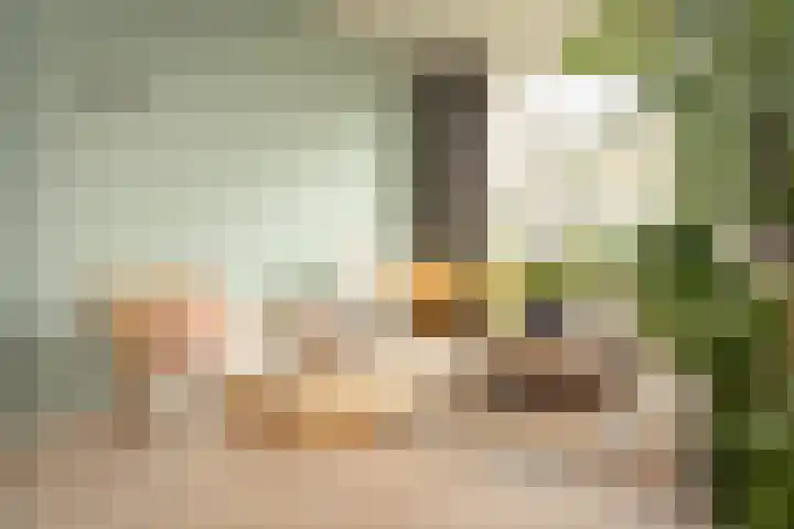 Lindenstraat 33 Abbekerk thumbnail 11