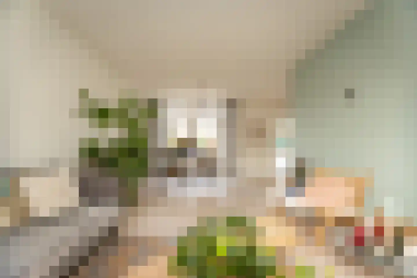 Lindenstraat 33 Abbekerk thumbnail 13