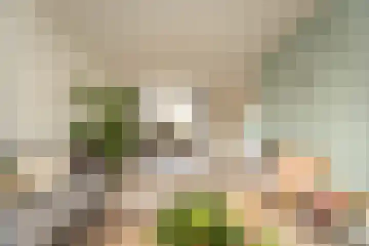 Lindenstraat 33 Abbekerk thumbnail 13