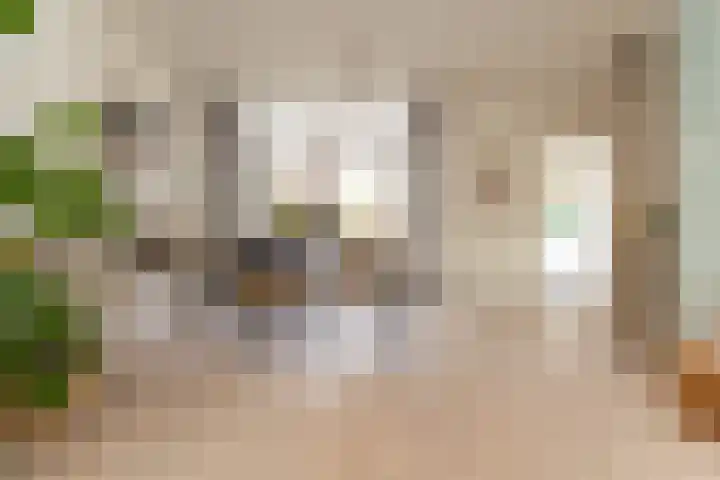 Lindenstraat 33 Abbekerk thumbnail 14