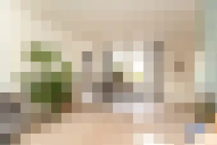 Lindenstraat 33 Abbekerk thumbnail 15