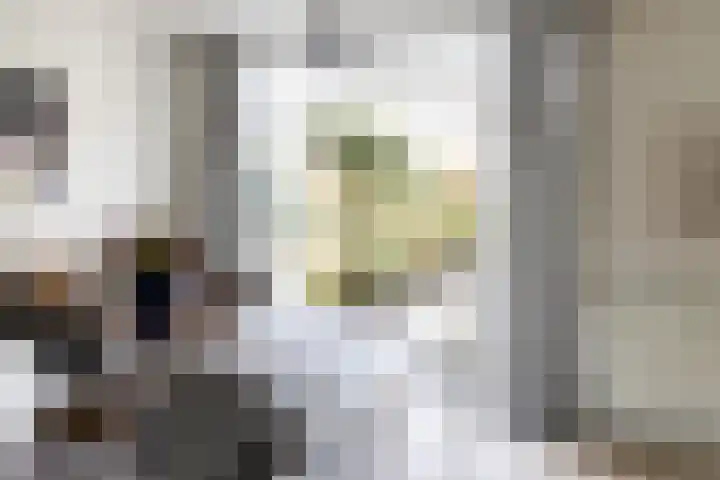Lindenstraat 33 Abbekerk thumbnail 16