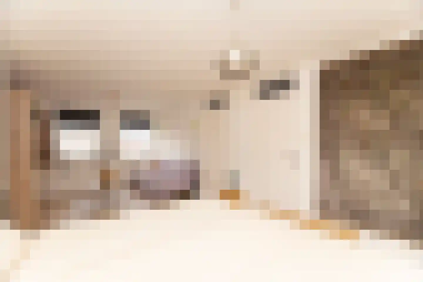 Lindenstraat 33 Abbekerk thumbnail 30