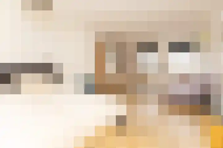 Lindenstraat 33 Abbekerk thumbnail 31