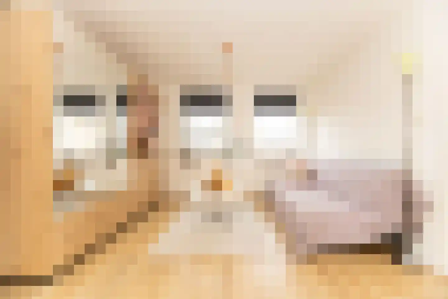Lindenstraat 33 Abbekerk thumbnail 32