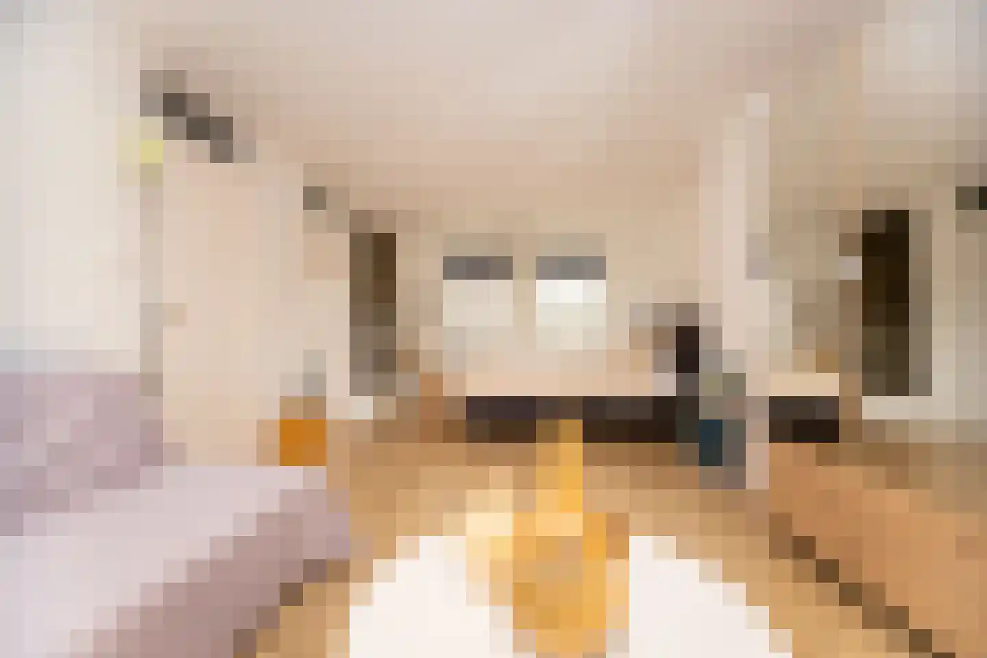 Lindenstraat 33 Abbekerk thumbnail 33