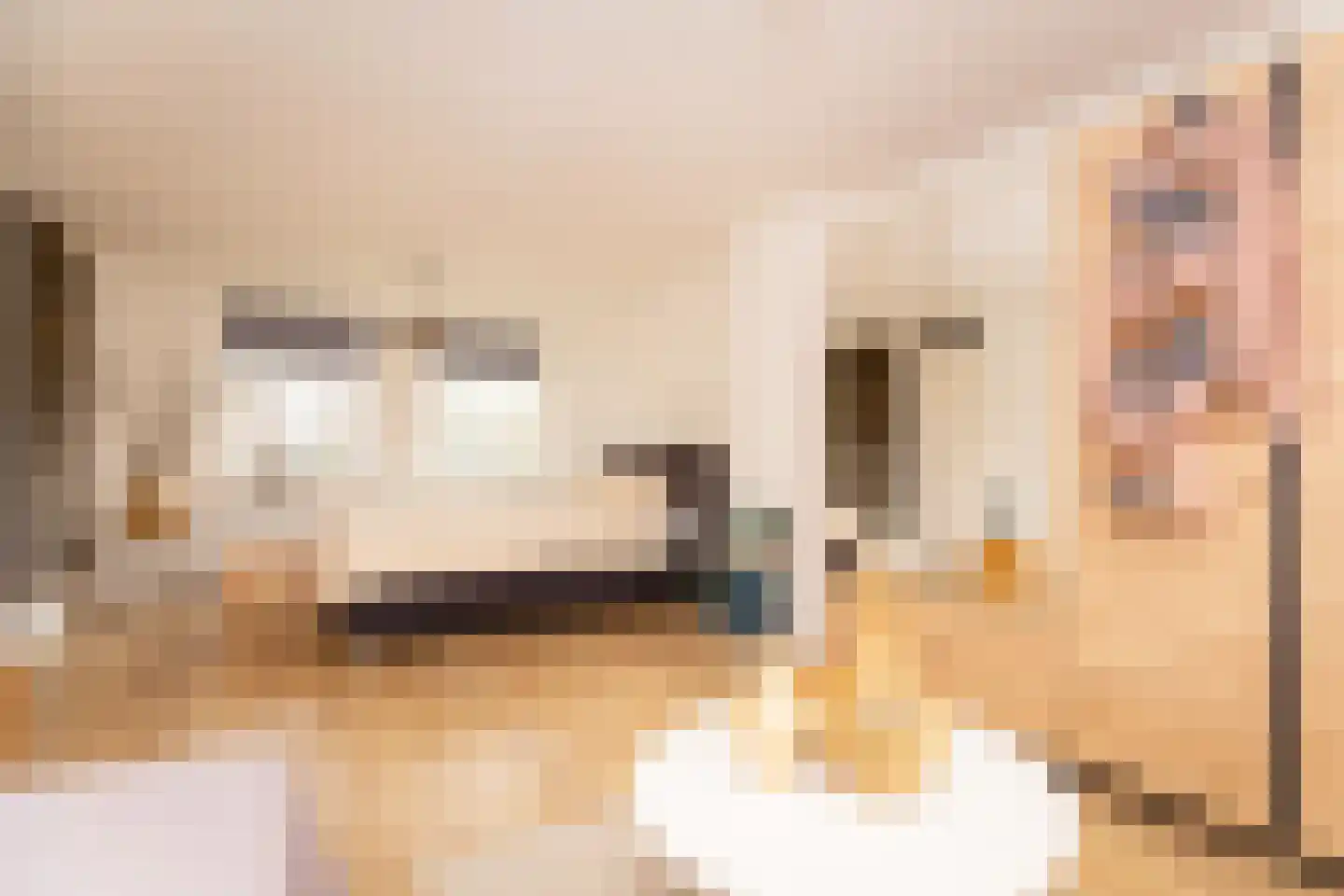 Lindenstraat 33 Abbekerk thumbnail 36