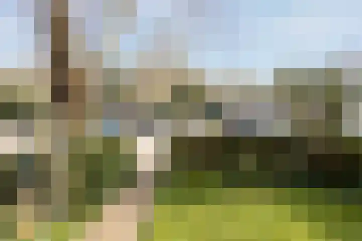 Lindenstraat 33 Abbekerk thumbnail 4