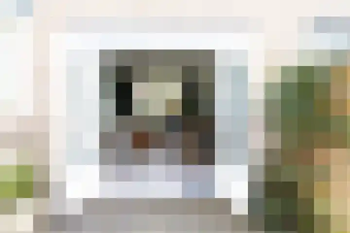 Lindenstraat 33 Abbekerk thumbnail 49