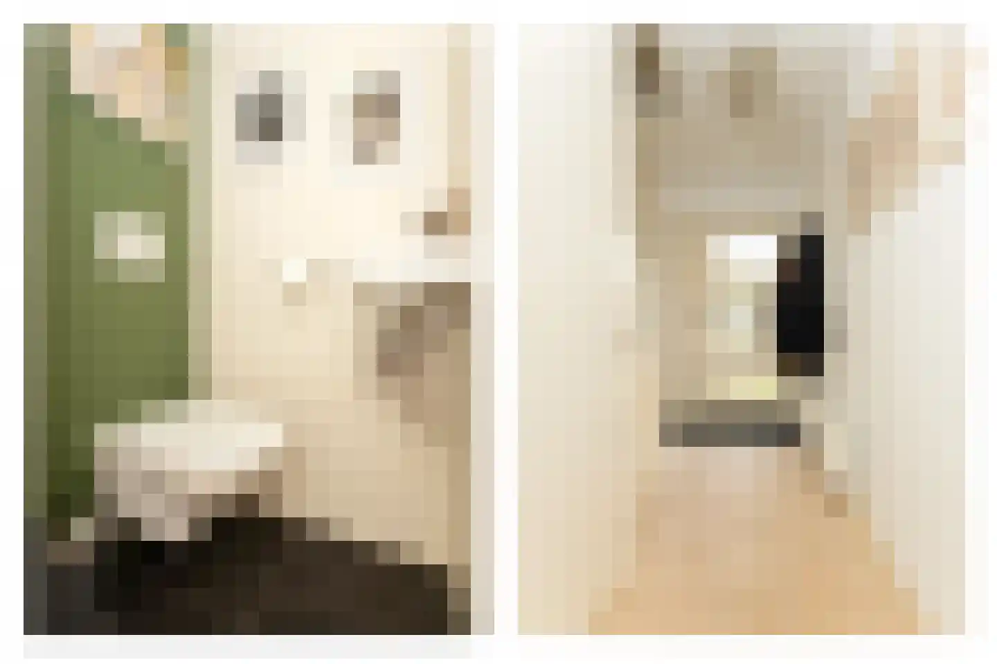 Lindenstraat 33 Abbekerk thumbnail 7
