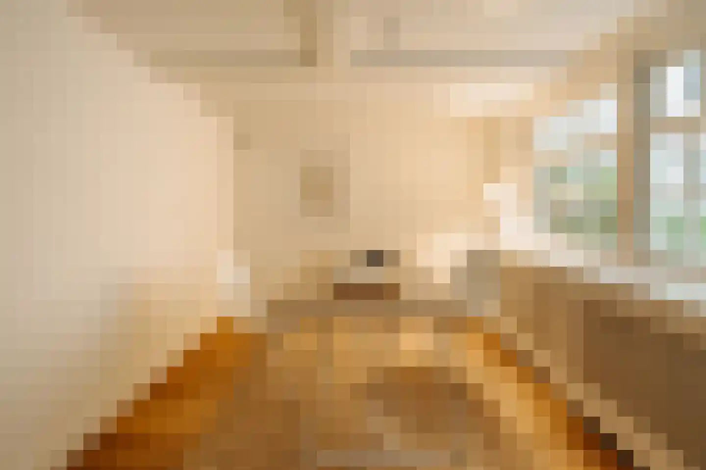 Lindenstraat 4 A Amsterdam thumbnail 15