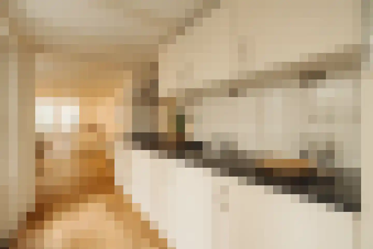Lindenstraat 4 A Amsterdam thumbnail 18