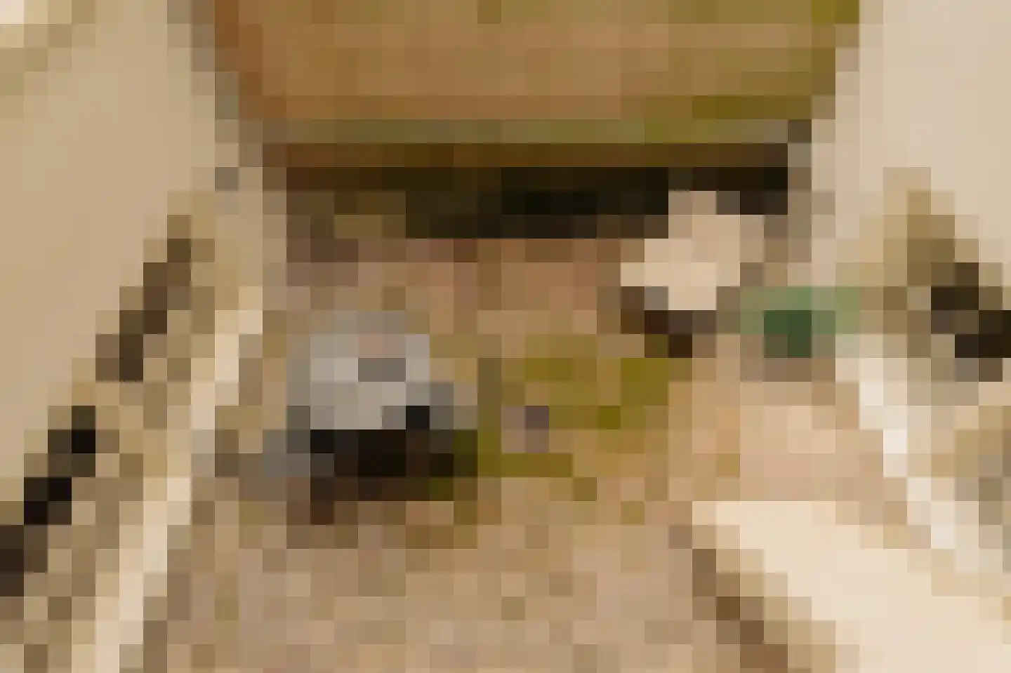 Lindenstraat 4 A Amsterdam thumbnail 20