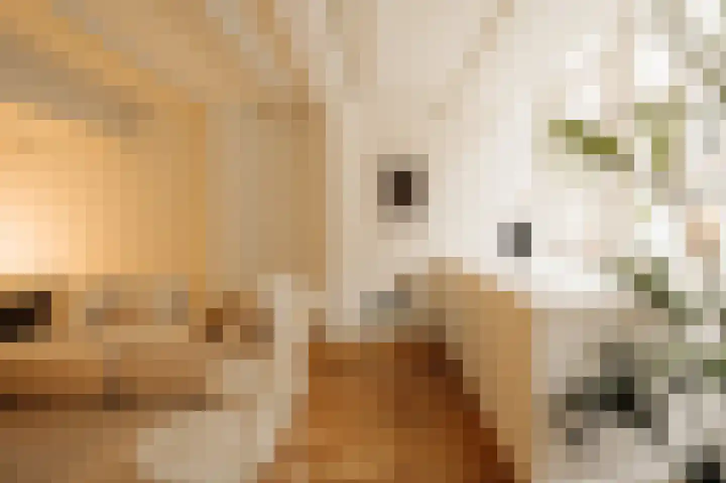Lindenstraat 4 A Amsterdam thumbnail 5