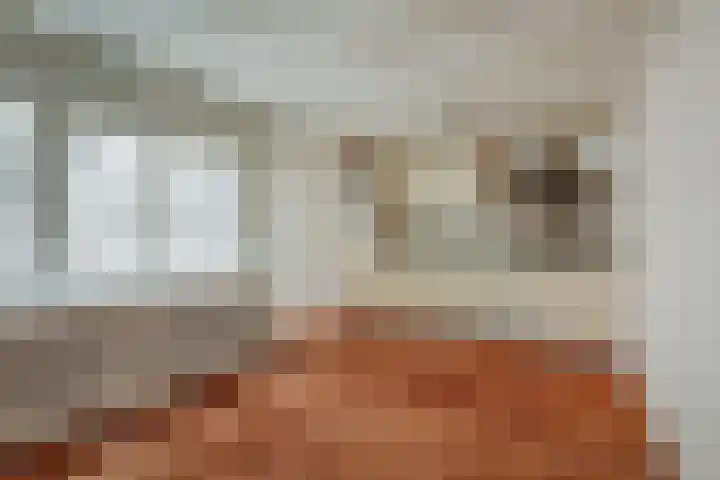 Lindenstraat 4 D Amsterdam thumbnail 13