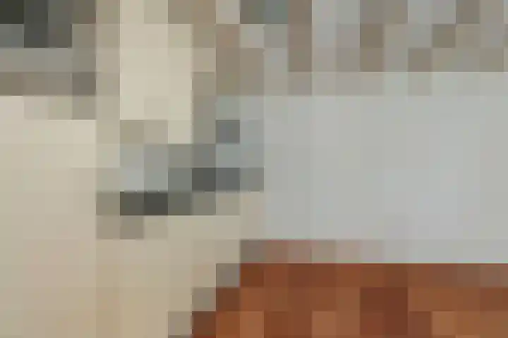 Lindenstraat 4 D Amsterdam thumbnail 14