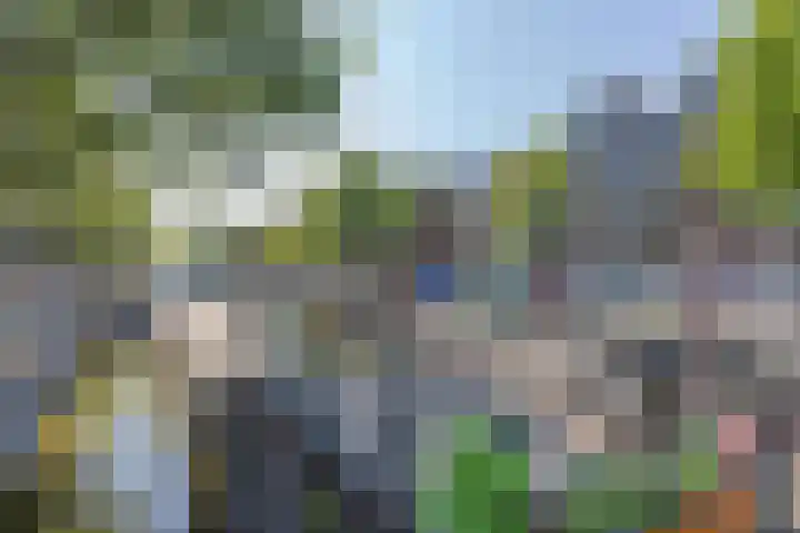 Lindenstraat 4 D Amsterdam thumbnail 23