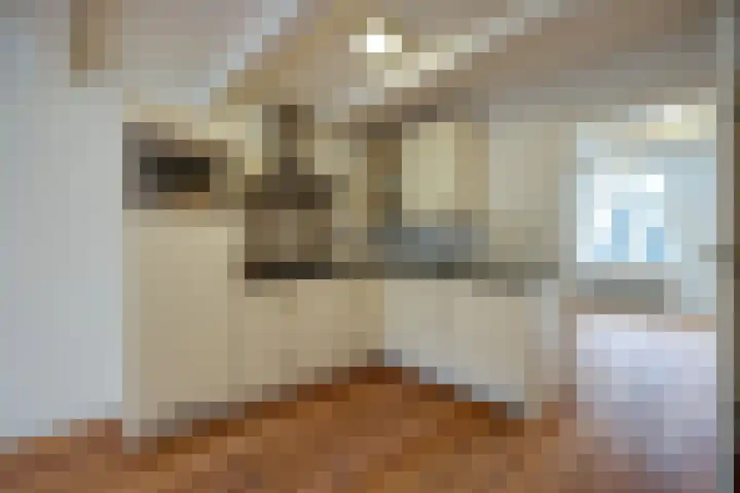 Lindenstraat 4 E Amsterdam thumbnail 9