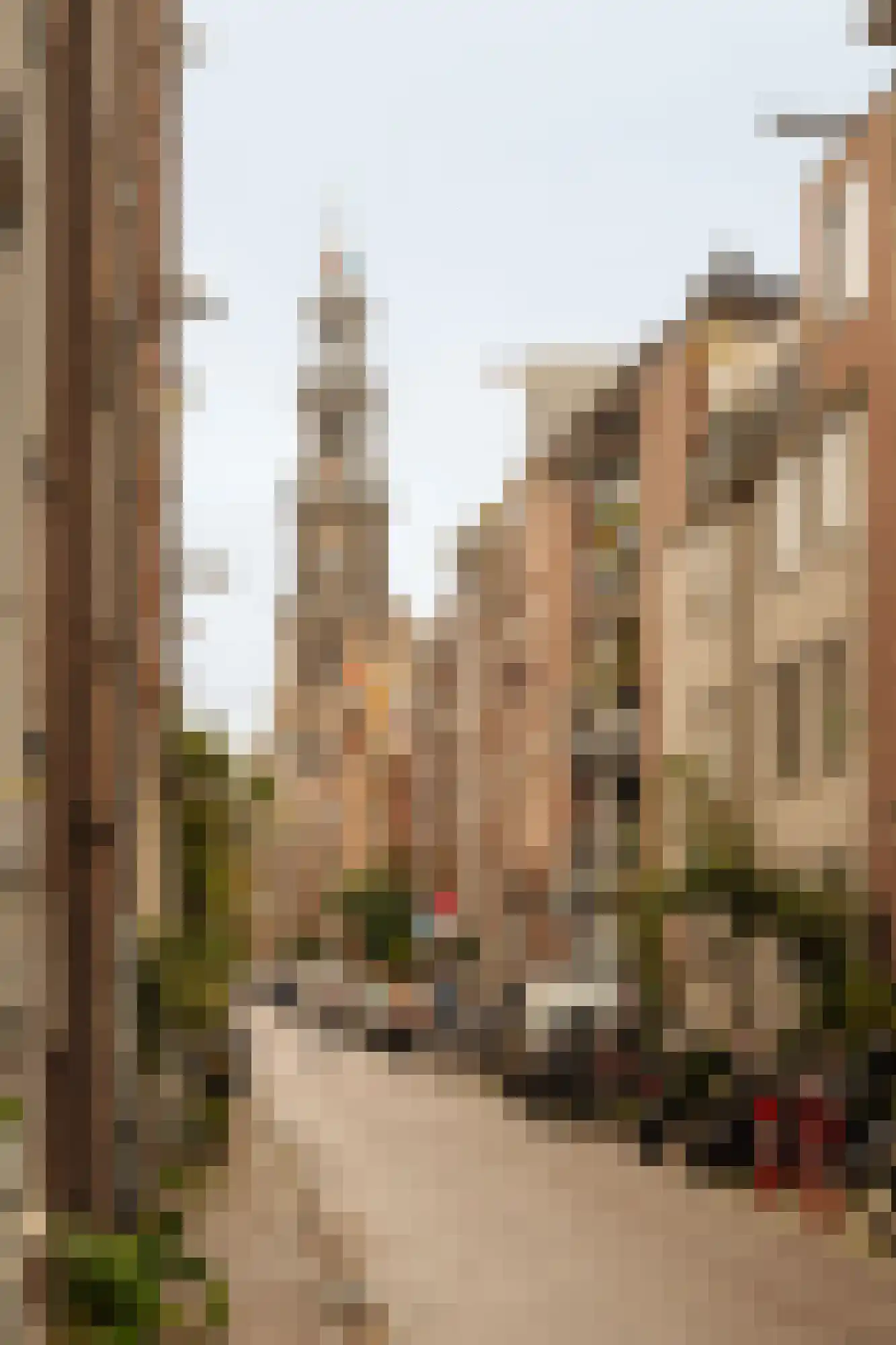 Lindenstraat 4 G Amsterdam thumbnail 22
