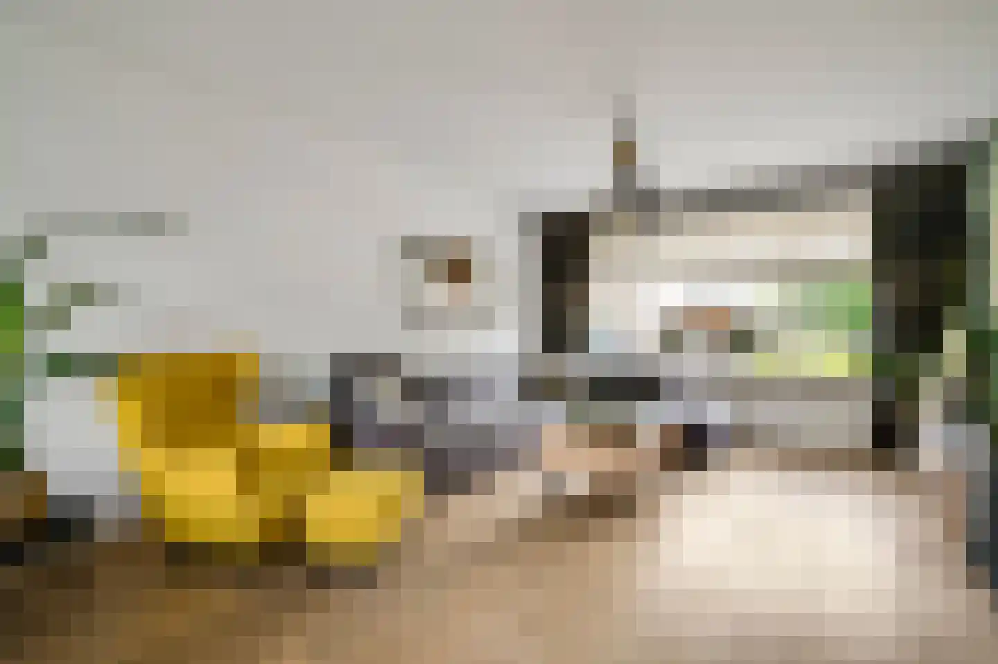 Lindenstraat 4 Maasbree thumbnail 14