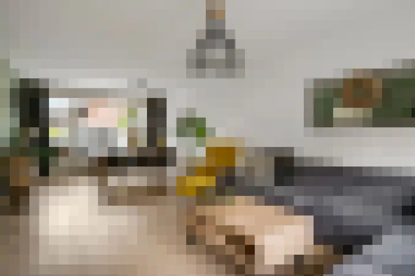 Lindenstraat 4 Maasbree thumbnail 15