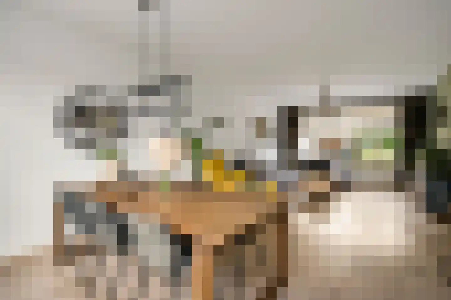Lindenstraat 4 Maasbree thumbnail 18