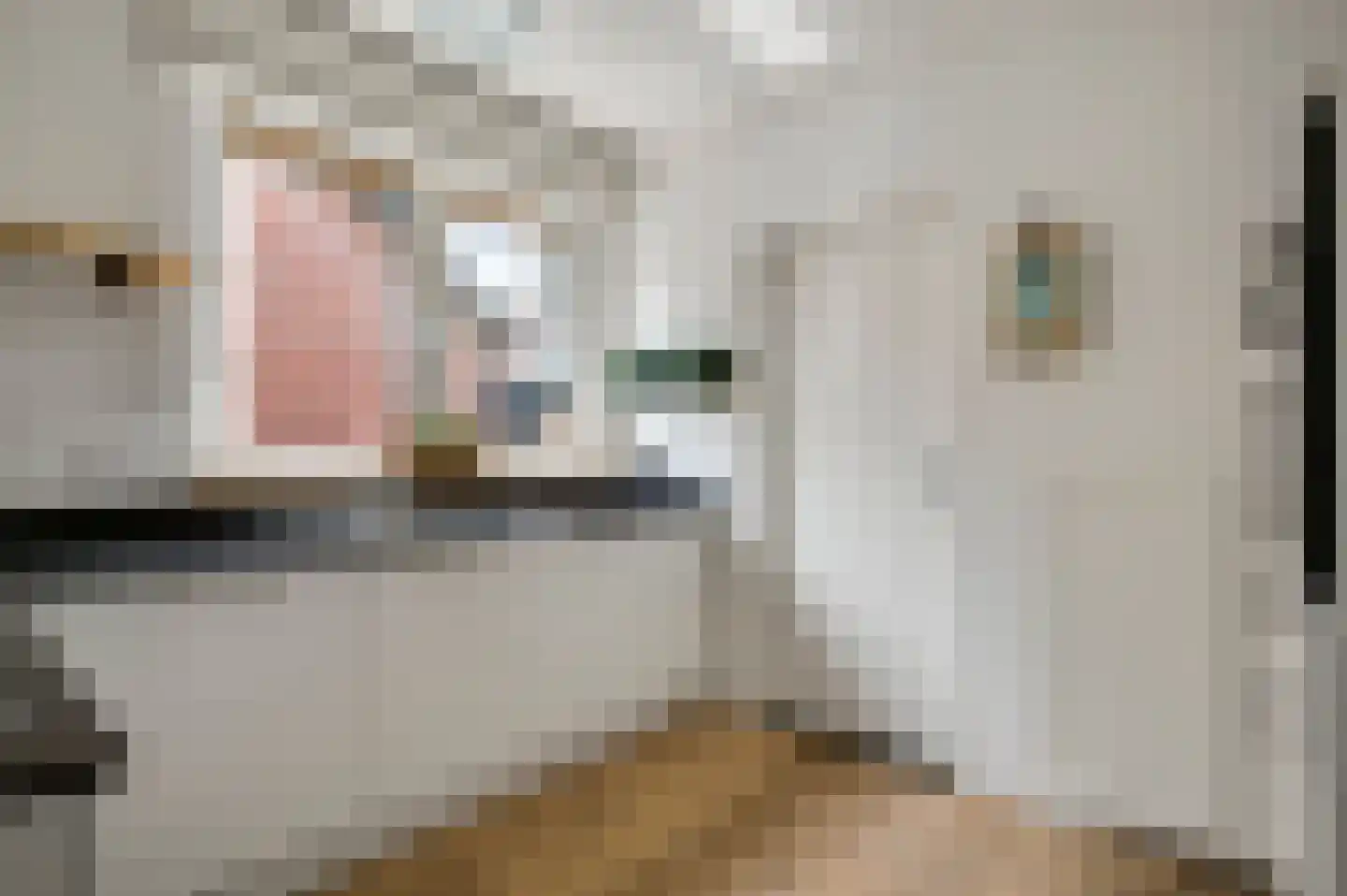 Lindenstraat 4 Maasbree thumbnail 19