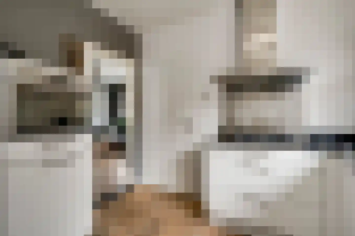 Lindenstraat 4 Maasbree thumbnail 20