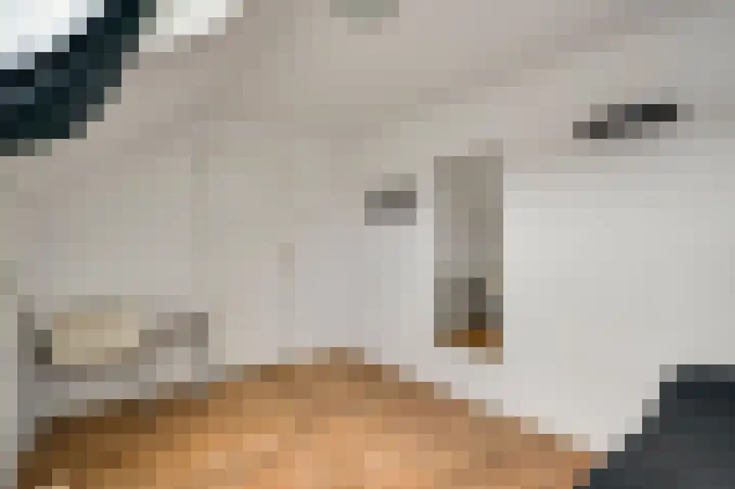 Lindenstraat 4 Maasbree thumbnail 28