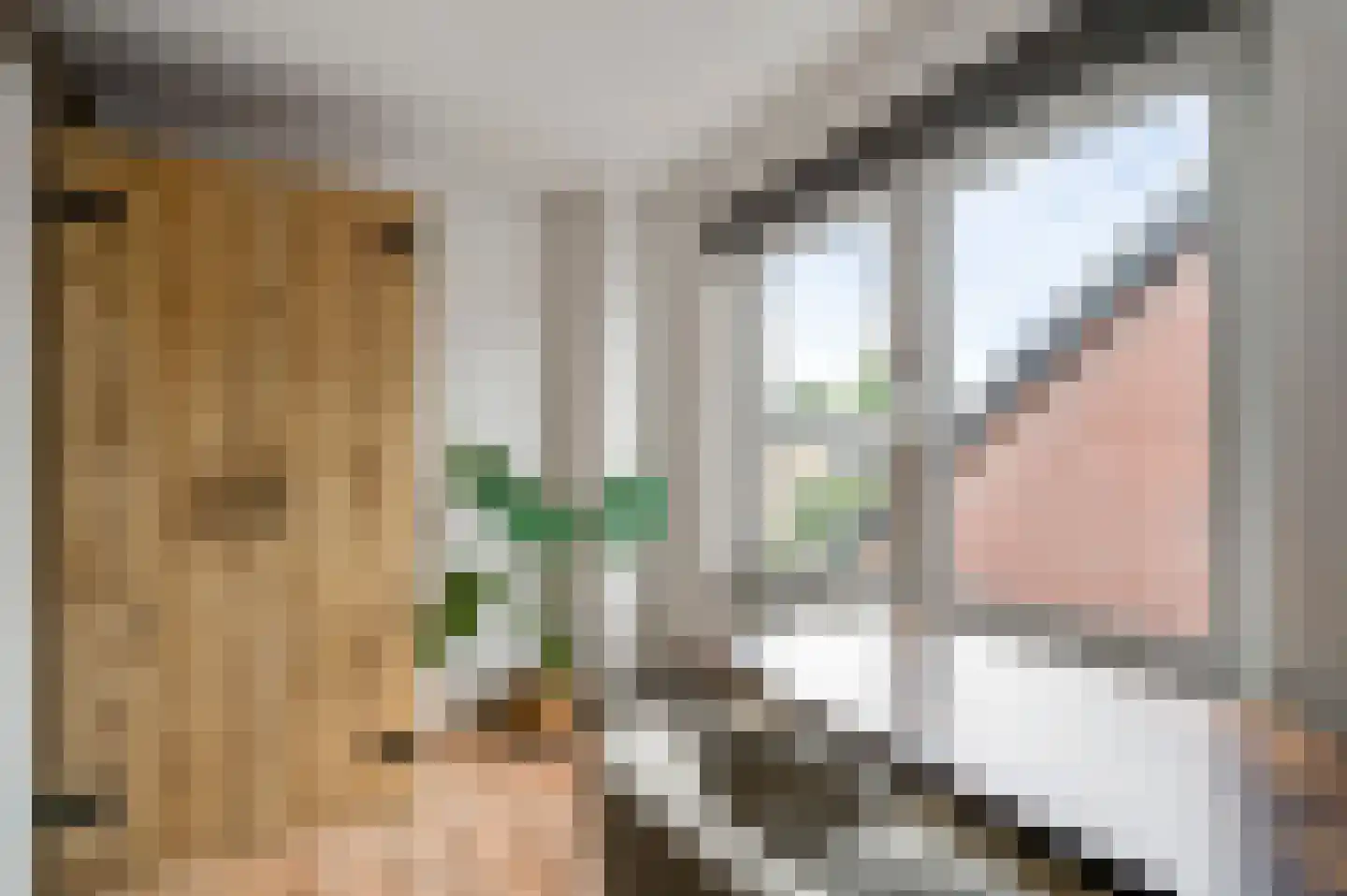Lindenstraat 4 Maasbree thumbnail 32