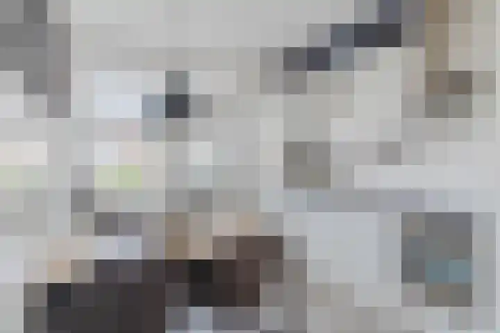 Lindenstraat 45 Hapert thumbnail 10